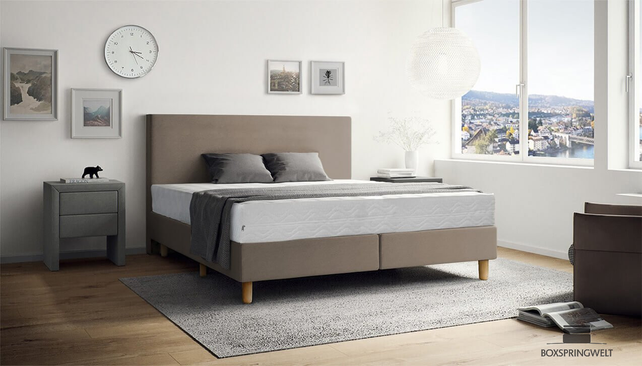 Boxspringbett Lea in in Luca Taupe 