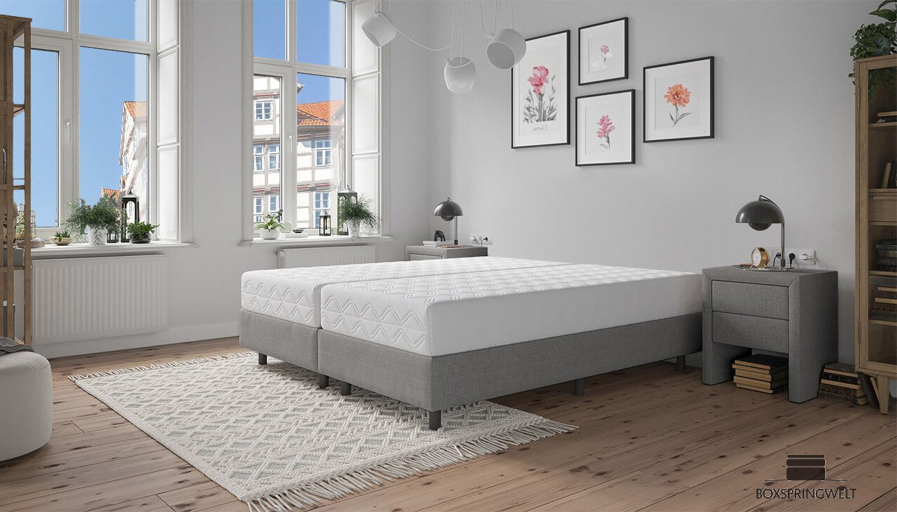 Boxspringbett Elsa in Grey